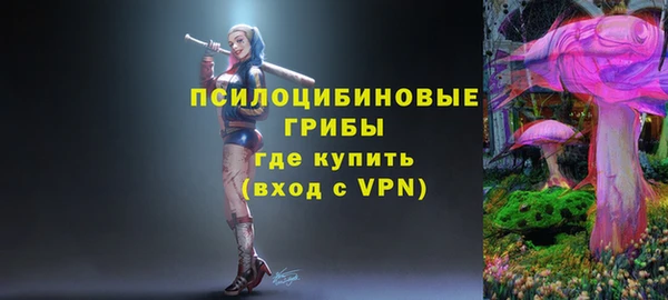 стаф Армянск