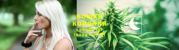 ГАЛЛЮЦИНОГЕННЫЕ ГРИБЫ Арсеньев