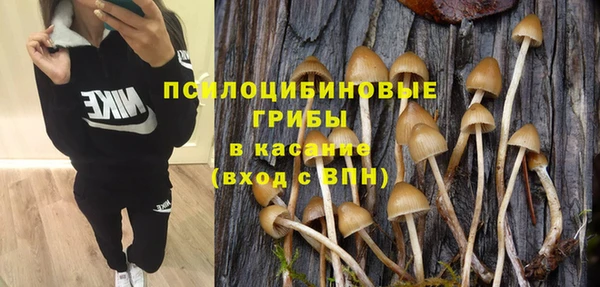 стаф Армянск