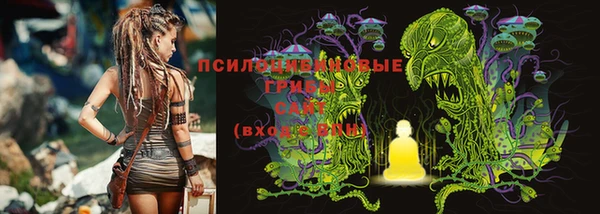 ГАЛЛЮЦИНОГЕННЫЕ ГРИБЫ Арсеньев